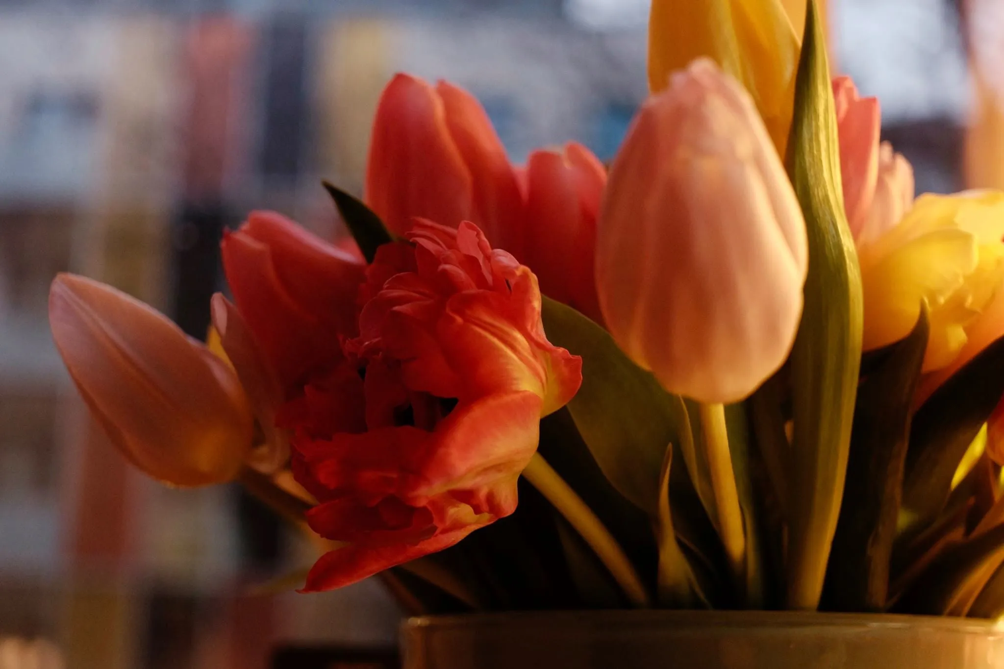 Autor: © Korneli Nastas. Alle Rechte vorbehalten