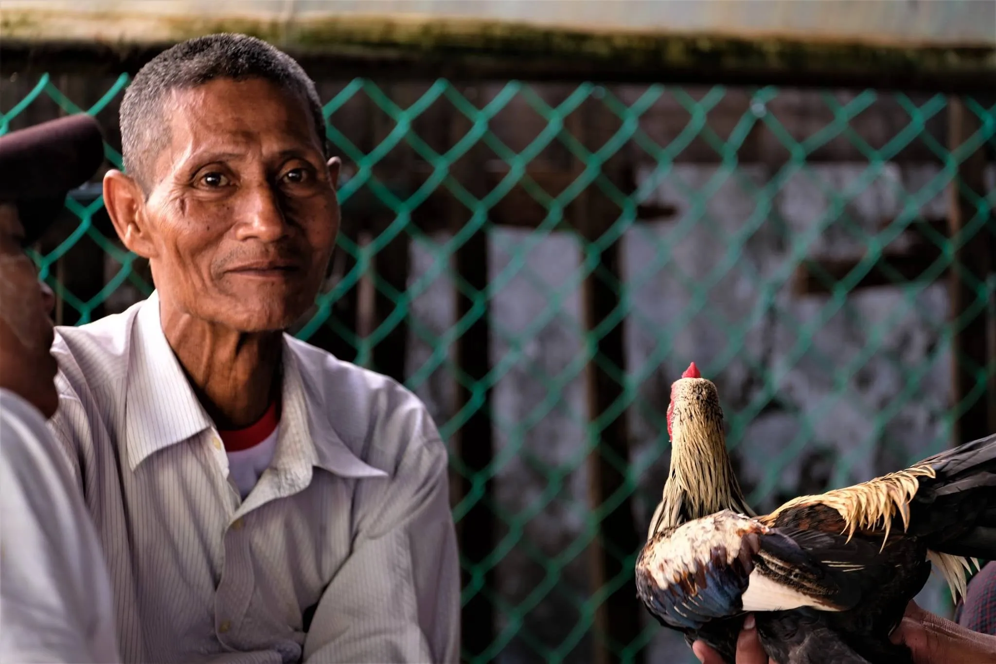 Autor: © Korneli Nastas. Alle Rechte vorbehalten.