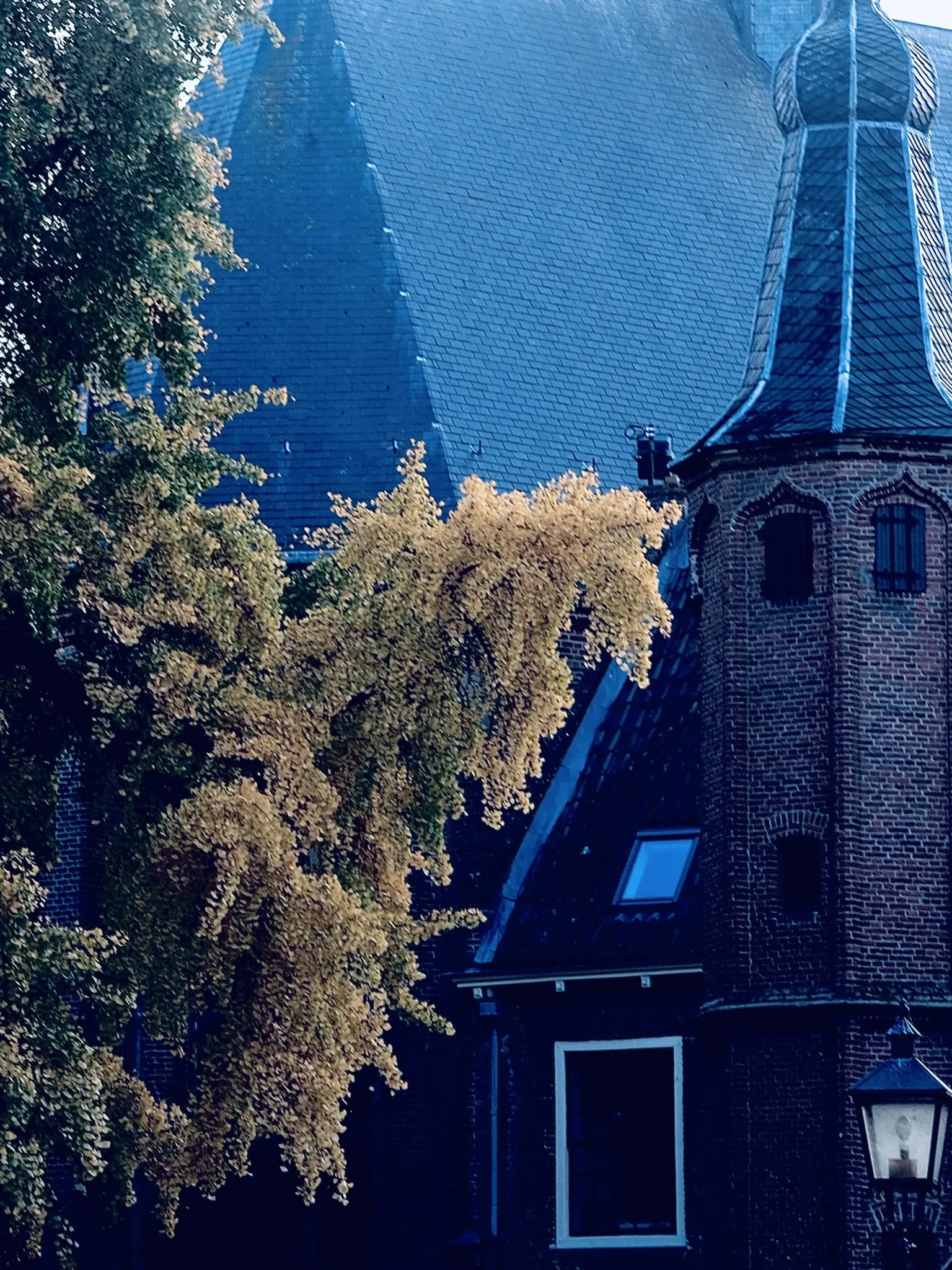 Autor: © Korneli Nastas. Alle Rechte vorbehalten.