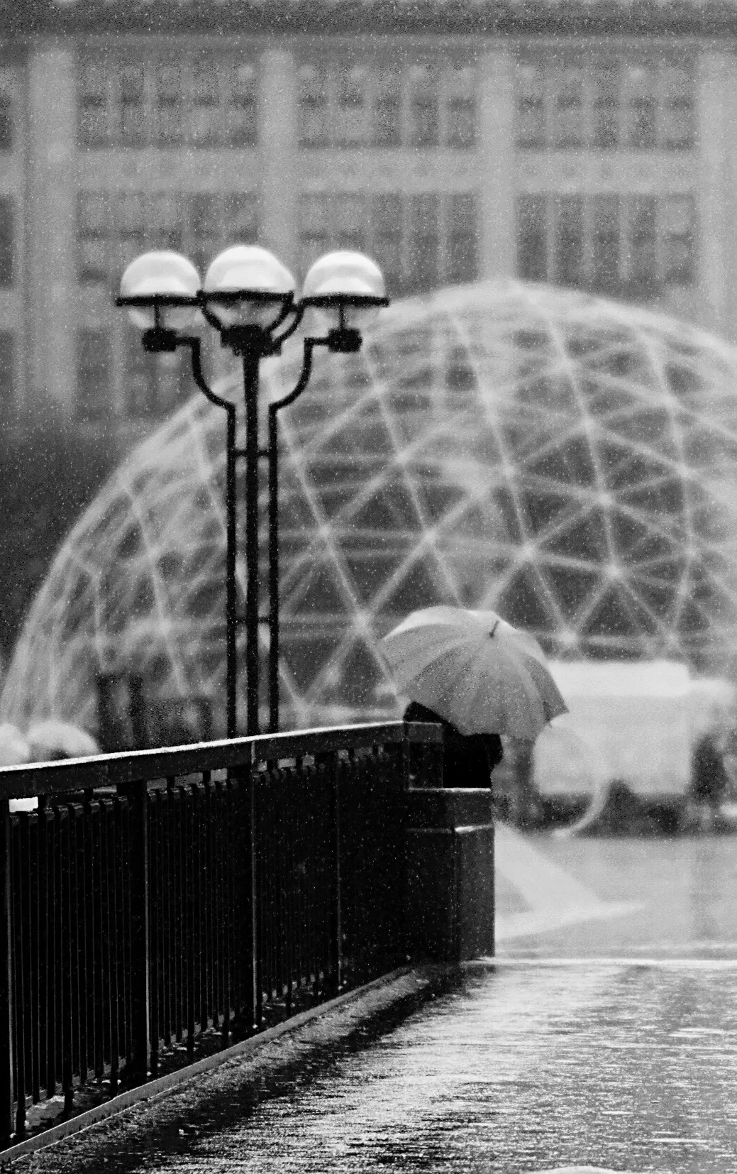 Autor: © Korneli Nastas. Alle Rechte vorbehalten.